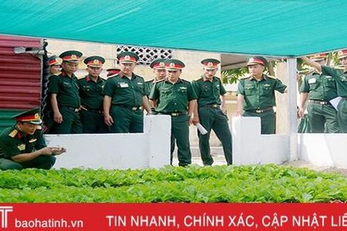 Hoạt động tăng gia sản xuất tại Trung đoàn 841 Hà Tĩnh được đánh giá cao