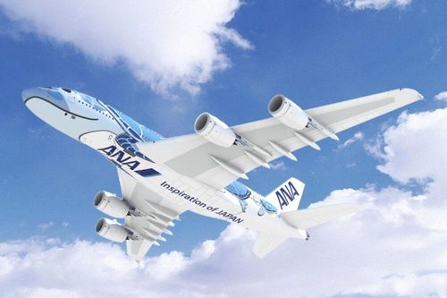 Các hãng hàng không phải 'bay không điểm đến' để sống sót qua đại dịch COVID-19
