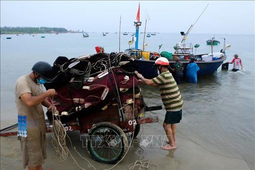 Học sinh Đà Nẵng được nghỉ học 2 ngày để tránh bão số 5