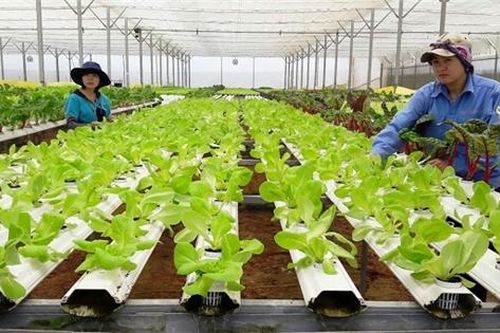 Doanh nghiệp giữa biến đổi khí hậu: Trong nguy có cơ