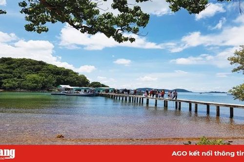 Du lịch biển 'ngon, bổ, rẻ'