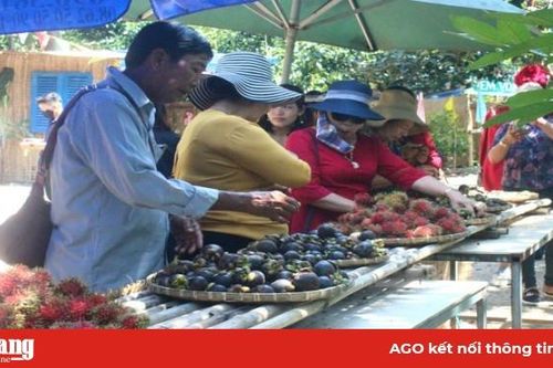 Đồng Nai: Nông dân thu tiền tỷ vì để du khách vào vườn tha hồ hái bưởi, chôm chôm