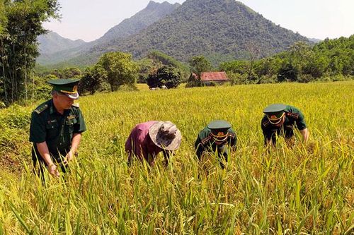 Quân đội chung sức xây dựng nông thôn mới