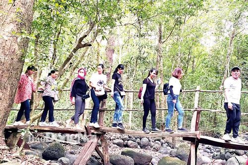 Dựa vào rừng để phát triển du lịch