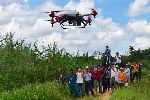 Máy bay không người lái - đột phá công nghệ cho cây trồng