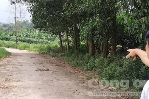 Truy sát người thân trọng thương vì chuyện mượn sổ đỏ vay tiền ngân hàng