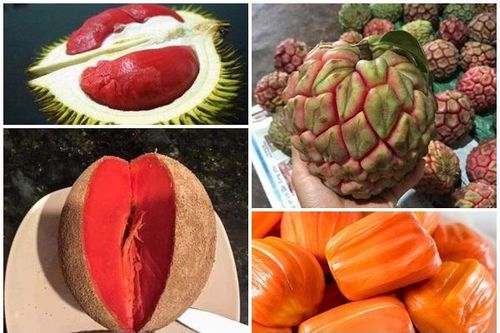 4 loại quả ruột đỏ giá 'chát' vẫn hút khách Việt