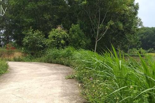 Hà Nội: Anh em chém nhau nguy kịch vì cho mượn sổ đỏ để vay ngân hàng rồi bị siết nợ
