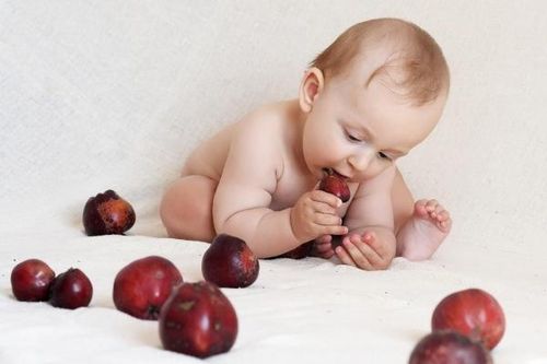Có nên áp dụng phương pháp ăn dặm tự chỉ huy?