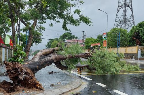 Thiệt hại do bão số 5: 1 người chết và 31 người bị thương