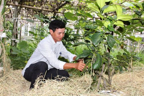 Chuyện ở một thôn Công giáo toàn tòng