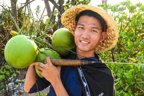 Bưởi da xanh sang Đức, dừa sang Anh theo EVFTA