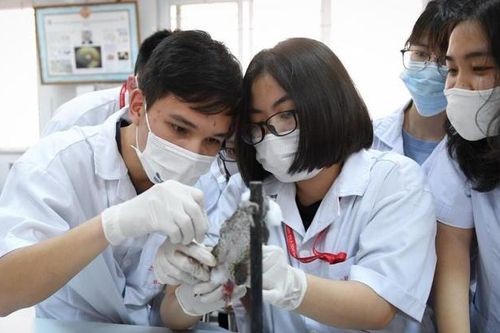 Điểm sàn cao nhất của ĐH Y khoa Phạm Ngọc Thạch là 24