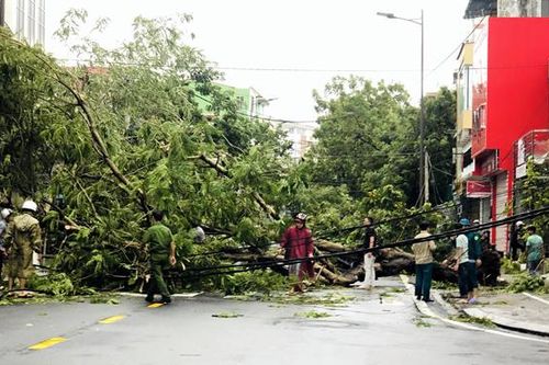 Bão qua TT-Huế; hàng ngàn cây xanh bật gốc, hàng trăm nhà dân tốc mái