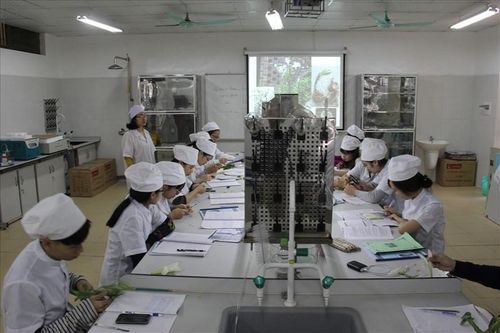 Đại học Kinh doanh và Công nghệ Hà Nội: Nguồn 'cung' nhân lực chất lượng