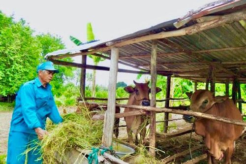Ninh Thuận: Đời sống được cải thiện, nâng cao nhờ nhận khoán bảo vệ rừng