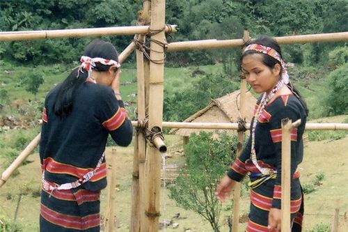 Cây lồ ô trong đời sống của người Xê Đăng