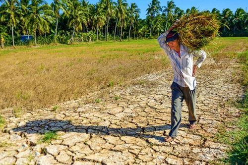 Đồng bằng sông Cửu Long: Vì sao cảnh báo khô hạn trong mùa mưa lũ?