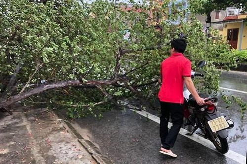 2 phụ nữ Quảng Bình bị thương nặng do ảnh hưởng bão số 5
