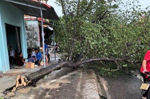 Quảng Bình: Hai người bị thương nặng do ảnh hưởng của bão số 5