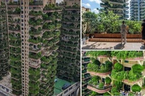 Lý do 'thiên đường đáng sống' ở Trung Quốc hóa 'thành phố ma'