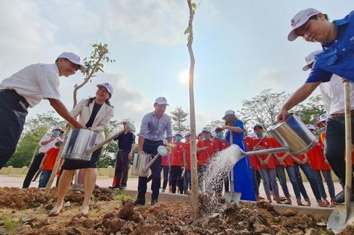 Thêm 1.400 cây 'phủ xanh' không gian trường học ở 6 tỉnh thành