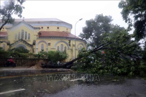 Bão số 5 đổ bộ vào Thừa Thiên - Huế gây mưa lớn, quật đổ nhiều cây xanh