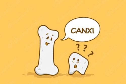 11 thực phẩm giàu canxi mà không phải là sữa