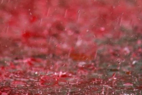 Hé mở bí ẩn sự sống ngoài hành tinh về trận mưa máu ở Ấn Độ