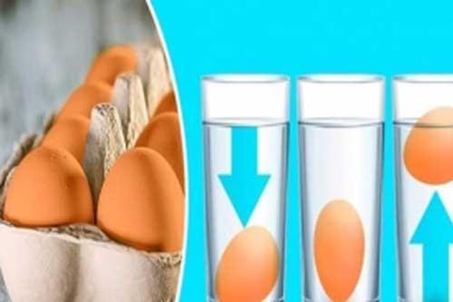 Mẹo nhận biết độ tươi mới của trứng rất hay và đơn giản