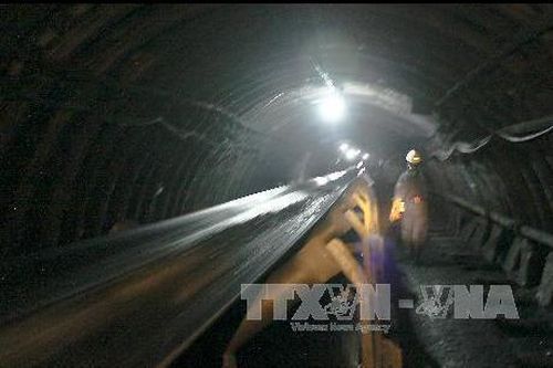 Indonesia khai thác 370 triệu tấn than từ tháng 1-8/2020