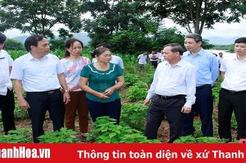 Kiểm tra việc triển khai thực hiện Đề án phát triển vùng nguyên liệu cây gai xanh