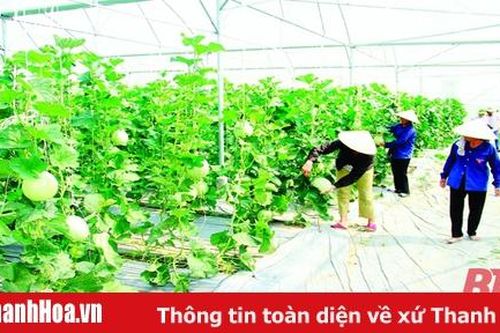 Để nông nghiệp bắt kịp xu hướng hiện đại: Liên kết vùng trong phát triển nông nghiệp bền vững