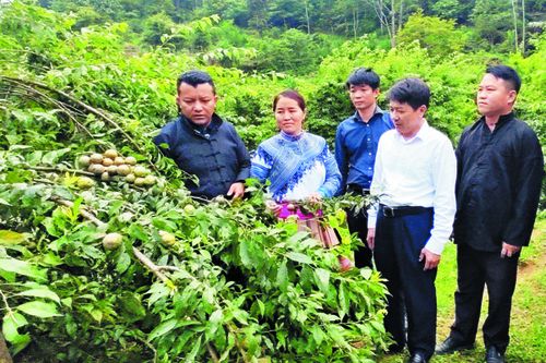 Si Ma Cai 20 năm - chặng đường tự hào