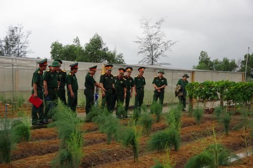 Ban Giám khảo hội thi Tiểu đoàn tăng gia sản xuất giỏi năm 2020 cấp Quân khu chấm thi Tiểu đoàn 43, Trung đoàn BB 842, Bộ CHQS tỉnh