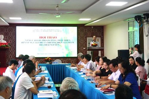 Phát triển bền vững cây chè và thương hiệu sản phẩm trà Thái Nguyên