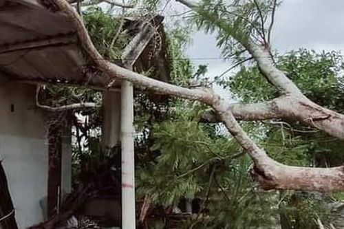 Hai phụ nữ ở Quảng Bình bị thương trong cơn bão số 5