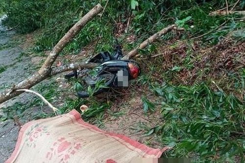 Bão số 5 khiến 23 người bị thương, 1 người đàn ông đi xe máy bị cây đè tử vong