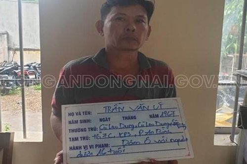 Đồng Nai: Tạm giữ hình sự kẻ dâm ô với bé gái