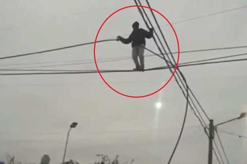 Người đàn ông đi trên dây điện để cắt trộm cáp