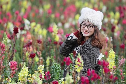 Hà Nội se lạnh 2 ngày cuối tuần