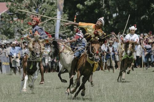Kỵ binh Indonesia phi giáo vào đối thủ trong lễ hội truyền thống