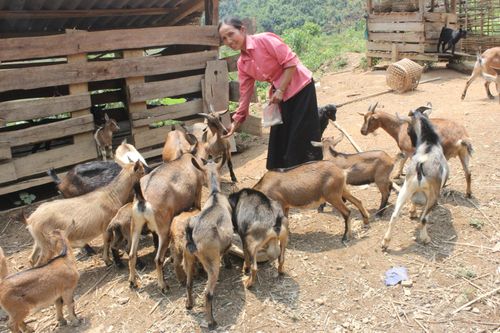 Những 'điểm sáng' nơi cực Tây Bắc của Tổ quốc