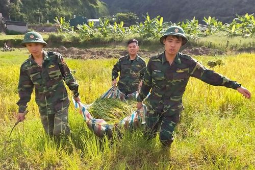 Thanh niên tiêu biểu học tập và làm theo lời Bác
