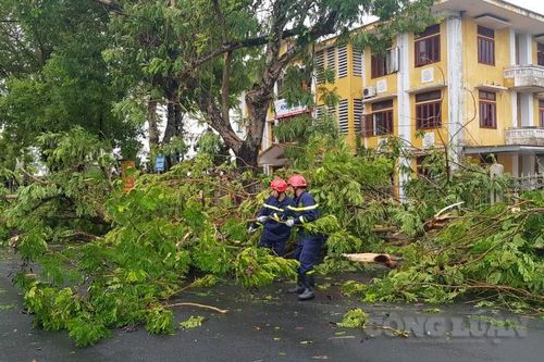 Bão số 5 gây thiệt hại lớn cho tỉnh Thừa Thiên Huế
