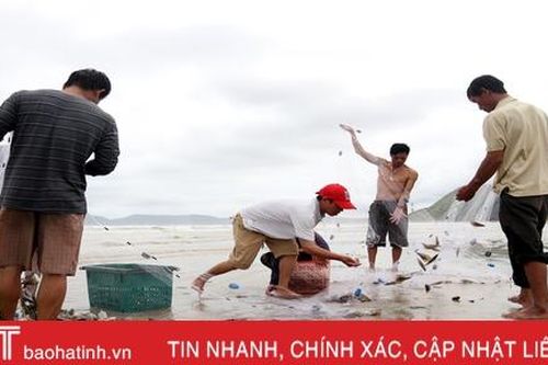 'Lộc biển' trôi dạt bờ, người dân TX Kỳ Anh ồ ạt đi gom