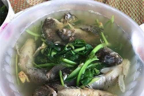Những bát canh trong 'vũ trụ' ghét bếp, không nghiện nhà chưa bao giờ hết tấu hài, nhìn thôi cũng khỏi muốn ăn rồi