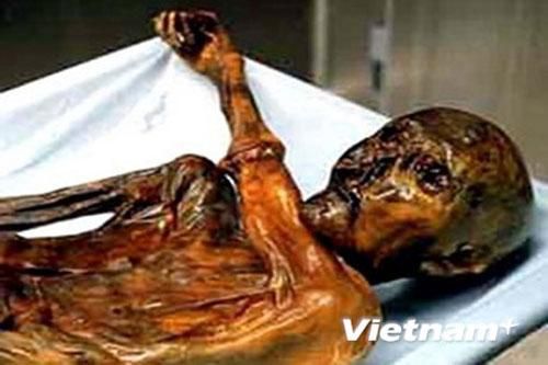 'Lời nguyền' kinh hoàng của xác chết 5.300 năm