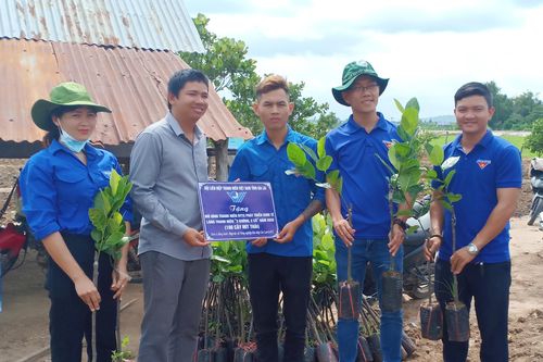 Hỗ trợ mô hình phát triển kinh tế cho thanh niên ở Gia Lai: Những tín hiệu vui