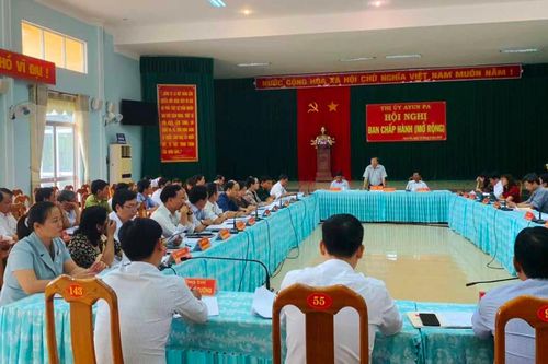 Hội nghị Ban Chấp hành Đảng bộ thị xã Ayun Pa khóa XIX (mở rộng)